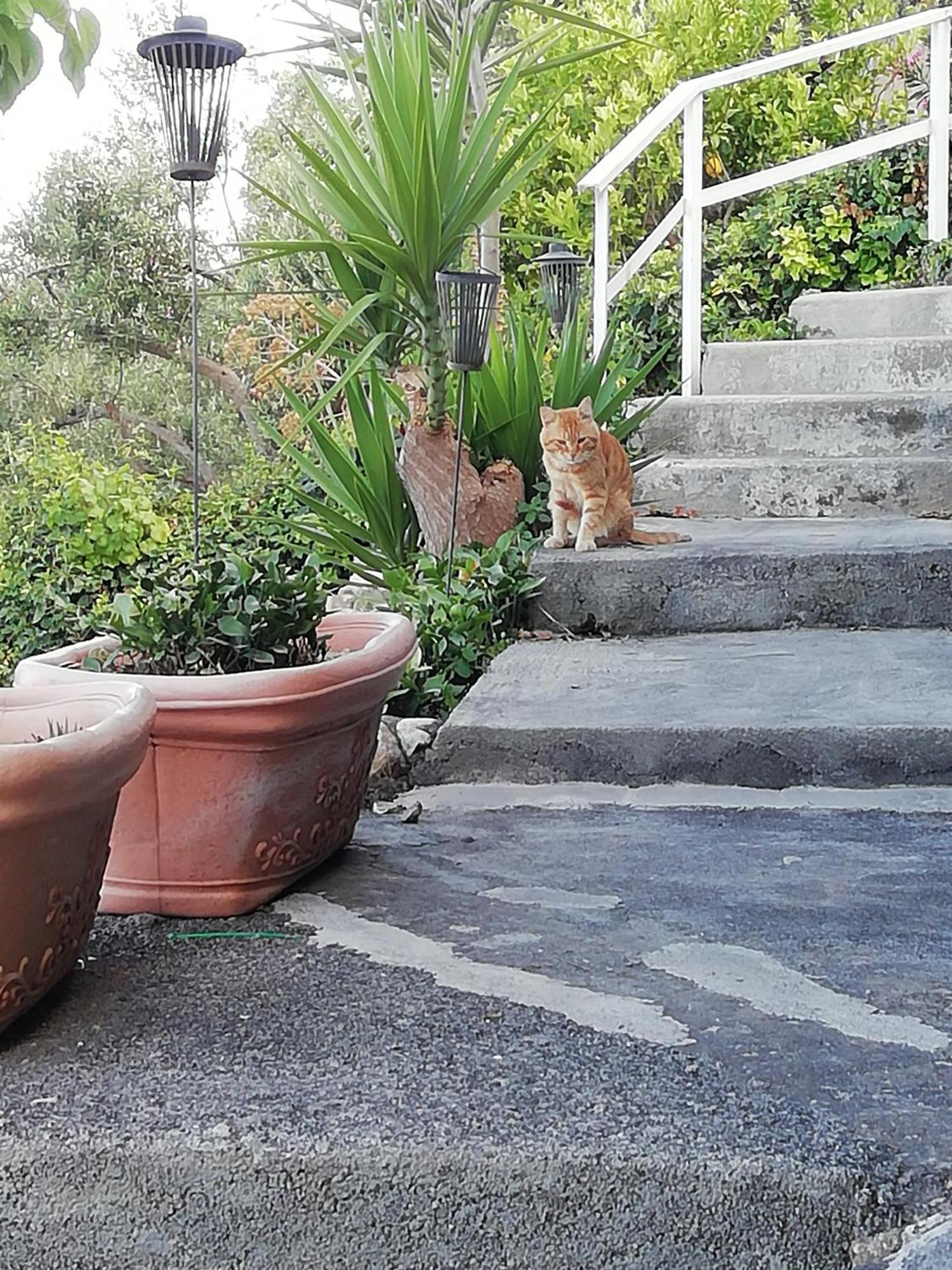 Villa Johnny And Mary'S House Breathtaking View Taormina Habitación foto